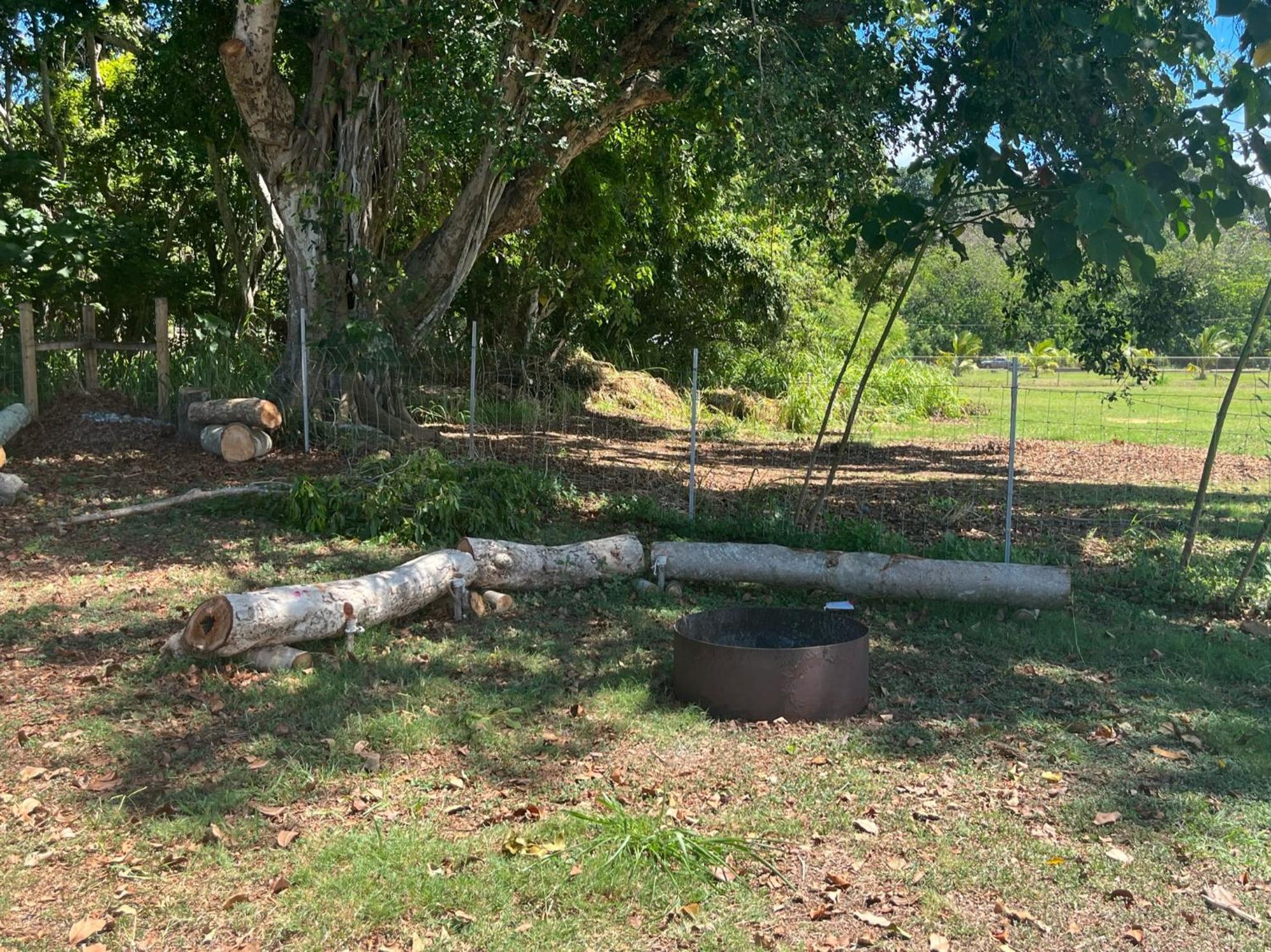 North Shore Glamping Camping Laie, Oahu, Hawaii Ngoại thất bức ảnh